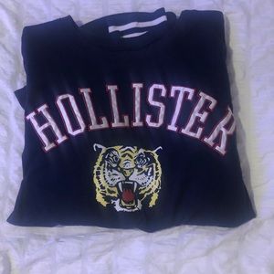 Hollister long-sleeve graphic tee